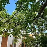 Babvirag Porta Fonyodliget 빌라