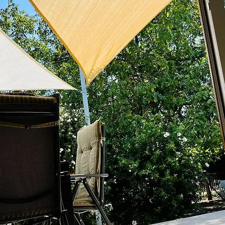 Babvirag Porta Fonyodliget *