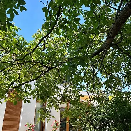 Babvirag Porta Fonyodliget Villa